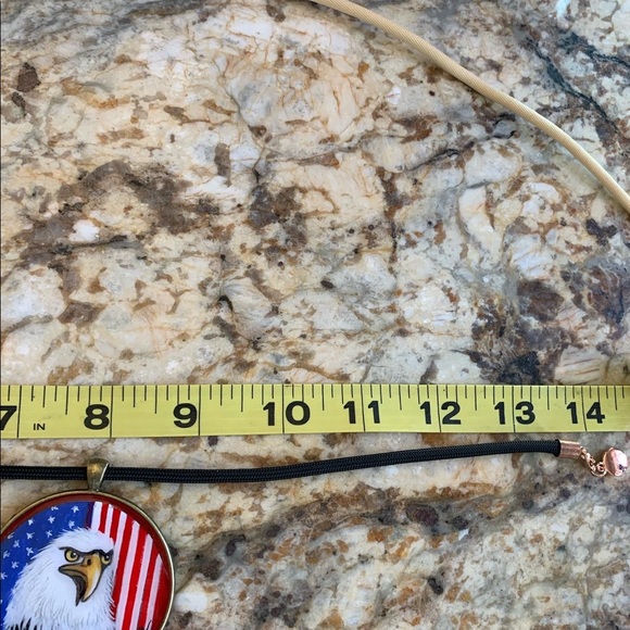 American Flag and Eagle all Handpainted LG Pendant 4th of July jewelry Birds - Picture 4 of 4